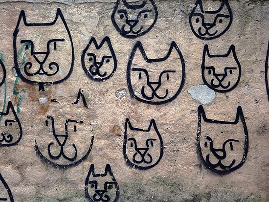 Chats