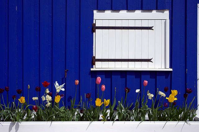 Joyeux printemps !
