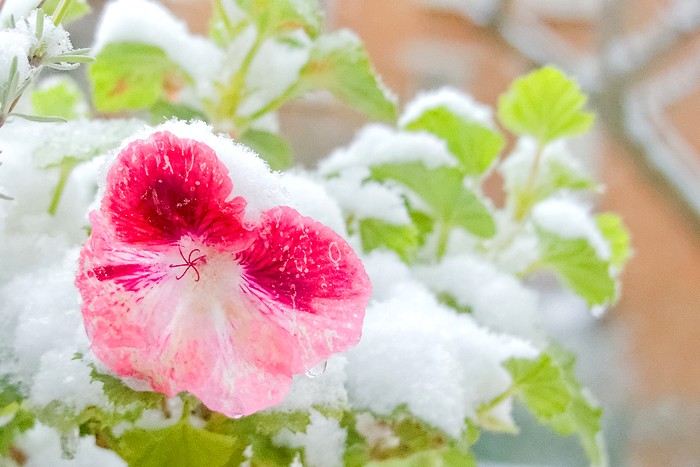 c'est le printemps dans 9 jours !
