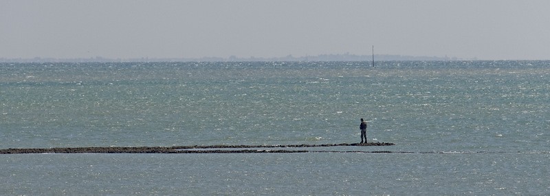 une ligne sur la langue …