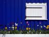 Joyeux printemps !